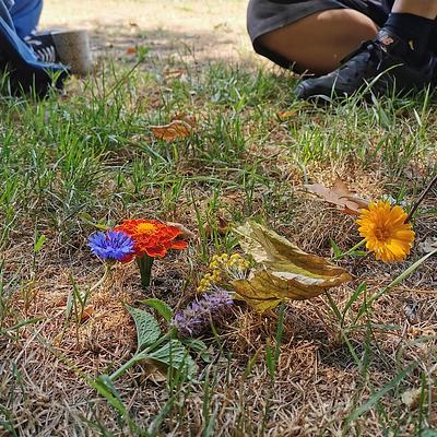 Stekene De Eetbare Bostuin 24-07-2026 Kunst in de natuur