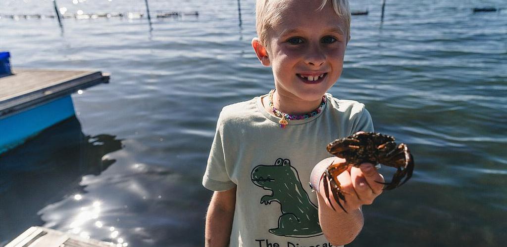 Zeedieren en zandkastelen