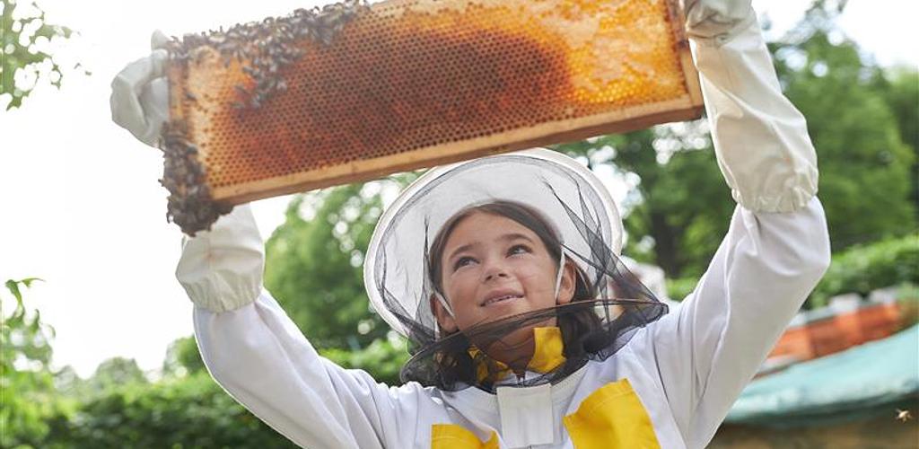 Beroepen op de boerderij