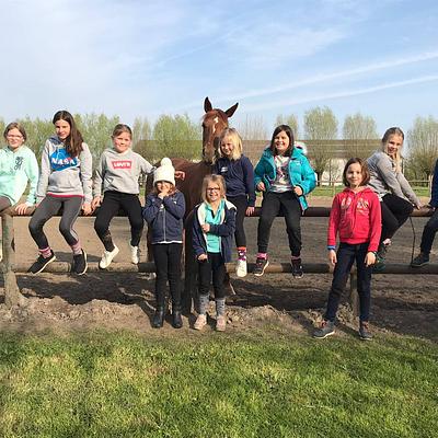 Bissegem Domein Leiedal 15-02-2026 Paardrijden in de Leiestreek