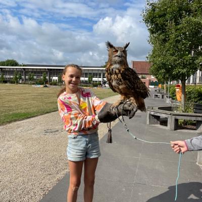 Sint-Niklaas Spoorweglaan 07-04-2026 Dierenmanieren