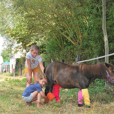 Hamme An Paardencoach 13-04-2026 Health op het veld