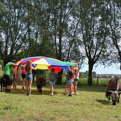 Hamme An paardencoach 06-07-2026 Sta sterk in je schoenen
