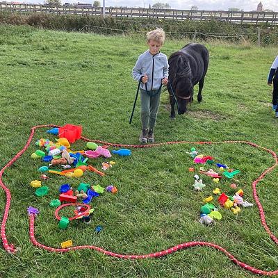 Zedelgem 01-07-2026 Paard en creatief plezier