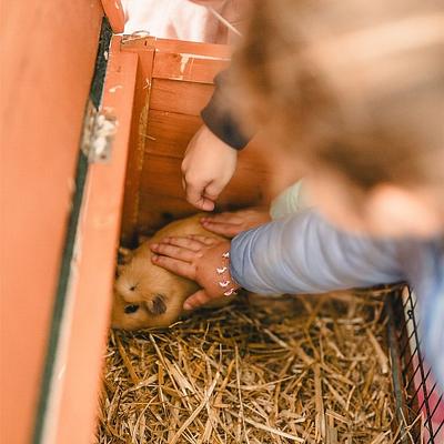 Sint-Niklaas Spoorweglaan 07-04-2026 De boerderij