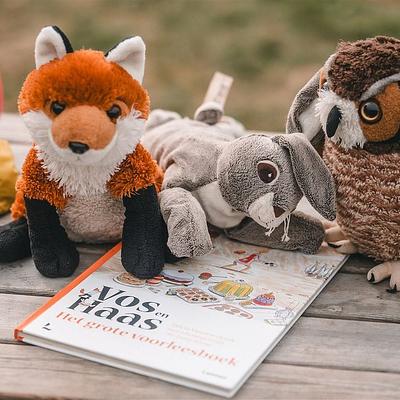 Mechelen 01-07-2026 Op kamp met Vos en Haas