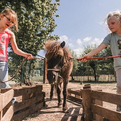 Wortel  12-07-2026 Bonte Beestenboel