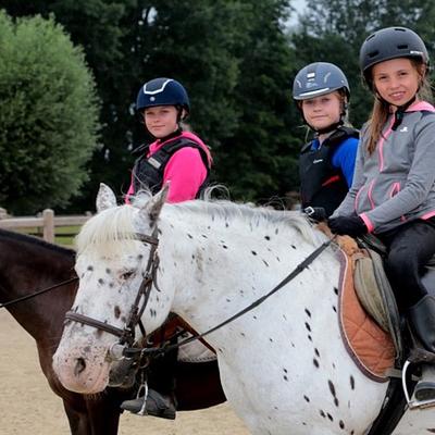 Buggenhout 15-02-2026 Paardrijden in Buggenhout