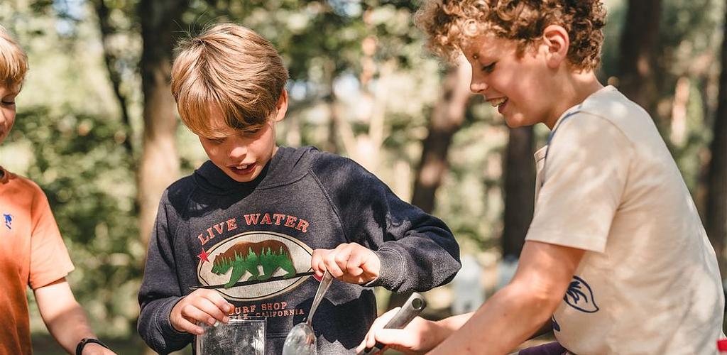 Survival in de Hoge Rielen