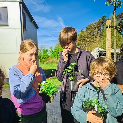 Stekene De Eetbare Bostuin 03-08-2026 Groenwijs