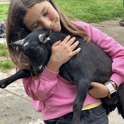 Gijzenzele  05-07-2026 Boerderijfun