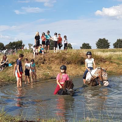 Wingene Sip's Stable 13-07-2026 Galopje in Wingene