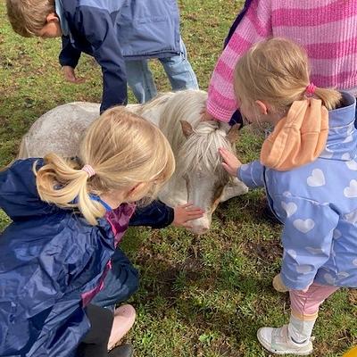 Aalter Coachhoeve 07-04-2026 Hol met je knol