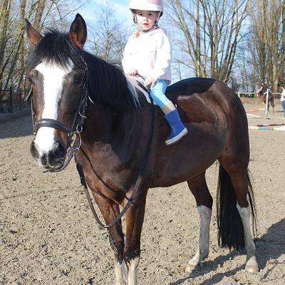 Antwerpen (Manege Alberdienst) 13-07-2026 Ponypret op Sint Anneke