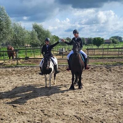 Wingene Sip's Stable 16-02-2026 Paardrijden in Wingene