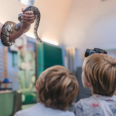 Deinze 13-07-2026 Reptikamp