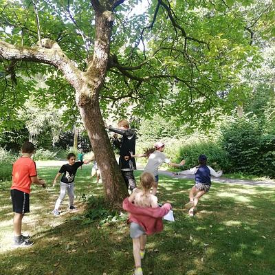 Lokeren  09-08-2026 Bosgeheimen