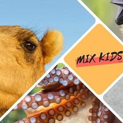 Ingelmunster 13-07-2026 Dieren met Superkrachten (6-12)