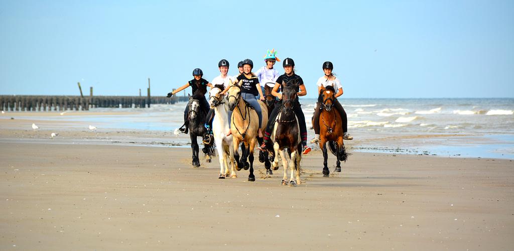 Paardrijden aan zee