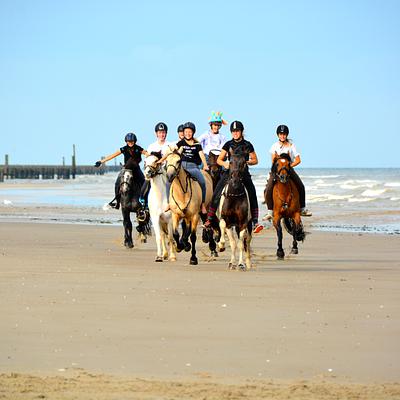 Aagtekerke 30-06-2026 Paardrijden aan zee