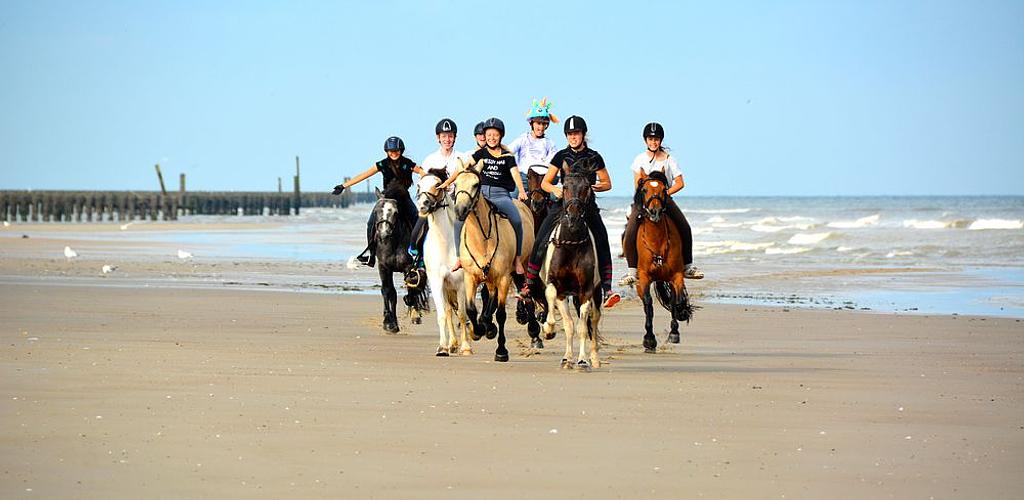Paardrijden aan zee