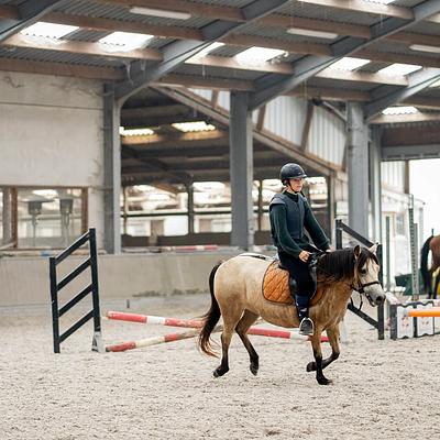 Merelbeke 't Bakkerhof 12-04-2026 Paardrijden vlakbij Gent
