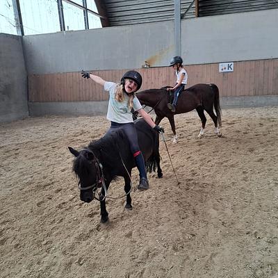 Antwerpen (Manege Alberdienst) 13-07-2026 Ponypret op Sint Anneke