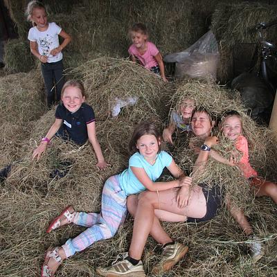 Zoersel Equi-Libruim 18-02-2026 Groeikamp op de paardenboerderij