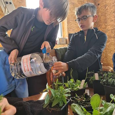 Stekene De Eetbare Bostuin 03-08-2026 Groenwijs