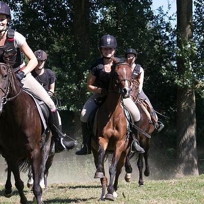Merelbeke 't Bakkershof 05-07-2026 Eventing in Merelbeke