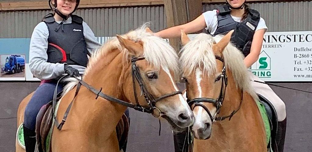 Paardrijden in Belgisch-Limburg