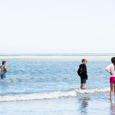 Bredene  09-08-2026 Dol-fijn avontuur