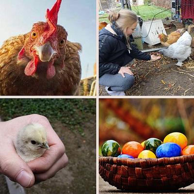 Ingelmunster Mix Kids 13-04-2026 Het Ei van Columbus