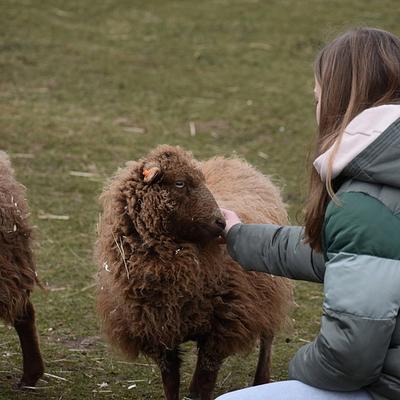 Pulle Boerderijleven 15-02-2026
