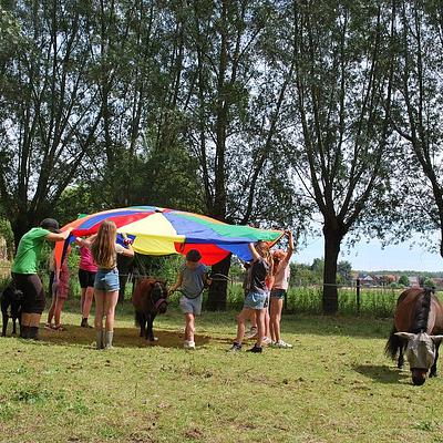 Hamme An paardencoach 06-07-2026 Sta sterk in je schoenen