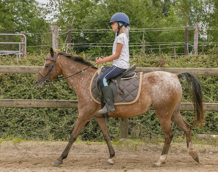 Pony Wimpelhof Absolute beginners