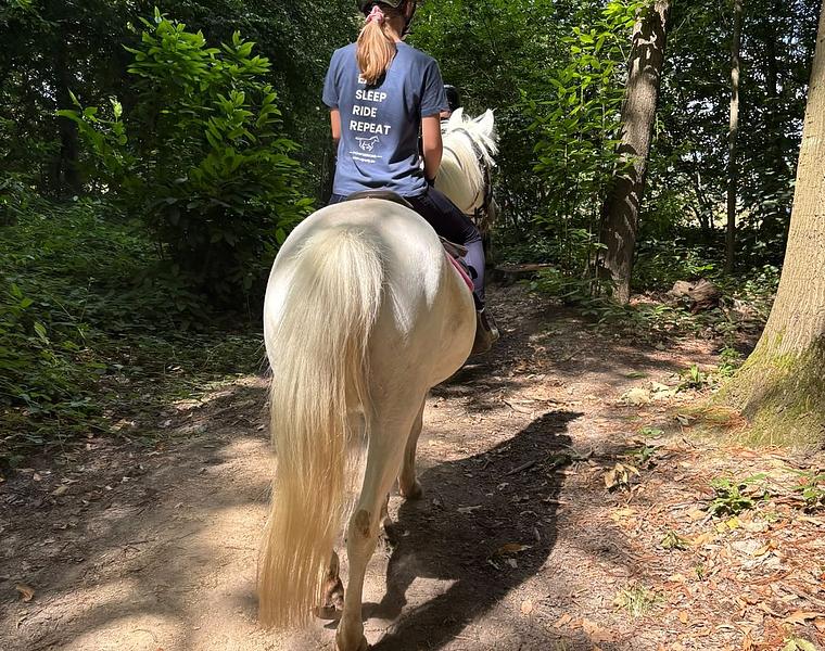 Pony Wimpelhof Aspiranten