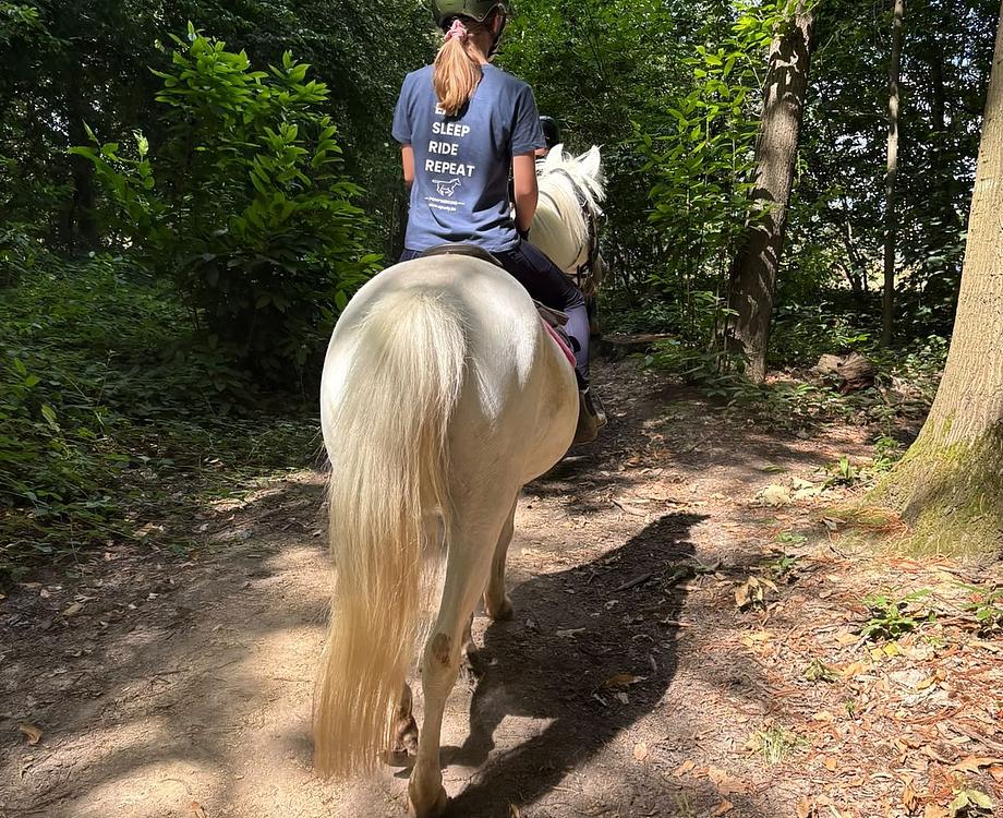 Pony Wimpelhof Aspiranten
