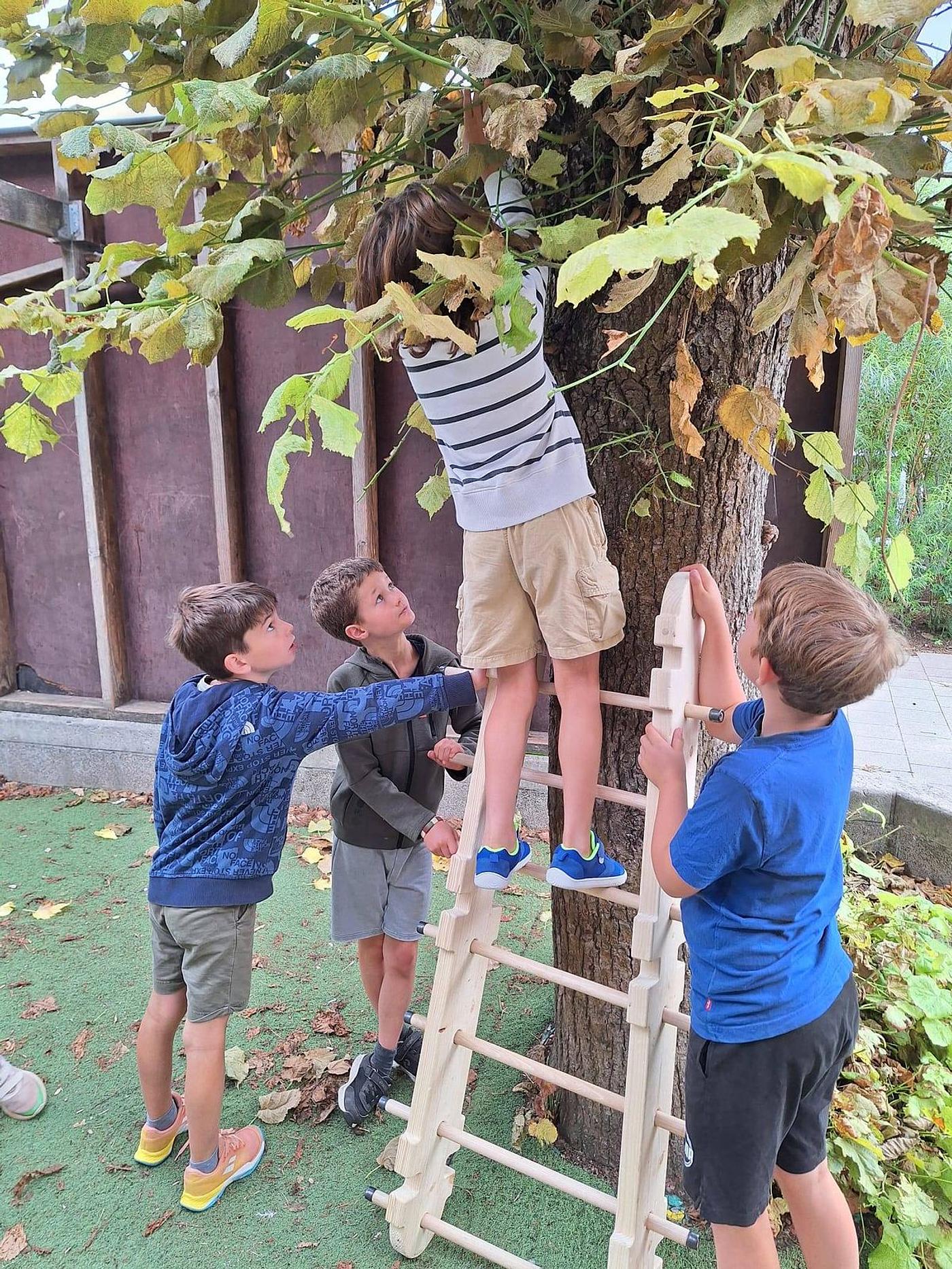 
<span>Bouwingenieurs</span>
